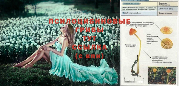 а пвп мука Бронницы