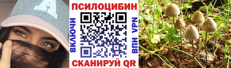 Купить  Верхний Уфалей  Псилоцибиновые грибы прущие грибы 